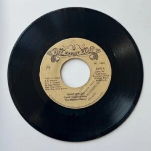 Lovers Magic Records-Lovers Magic Music-Ziggy Marley/The Melody Makers-What A Plot