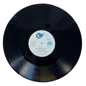 Lovers Magic Music-Lovers Magic Records-Steely & Clevie & 2000 Crew-Remember The Days